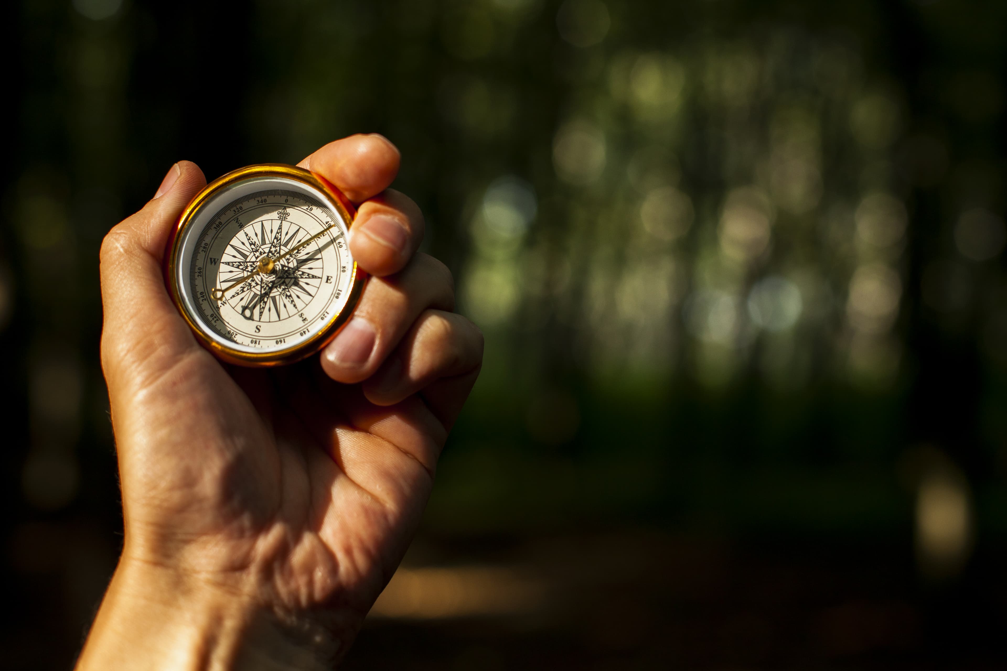 Hand holding a compass.
